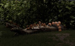 Robotersystem zum Biodiversitätsmonitoring in Waldgärten Inspiriert von Snail-inspired Robotic Swarm, Freeform Robotics & AI Lab - CUHK Shenzhen